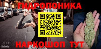 сатива Кунгур