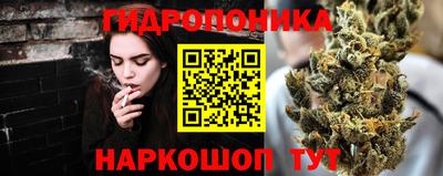 сатива Кунгур