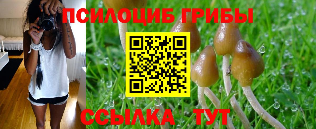 Дубна  Псилоцибиновые грибы Psilocybe  Галлюциногенные грибы Psilocybe  даркнет сайт  Вход с VPN 